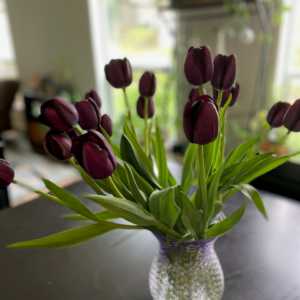 Dark purple, almost black, tulips arranged in a vase.